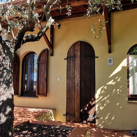 Country House Trevi Umbria Borghetto Vetuliae Santa Maria in Valle Екстериор снимка