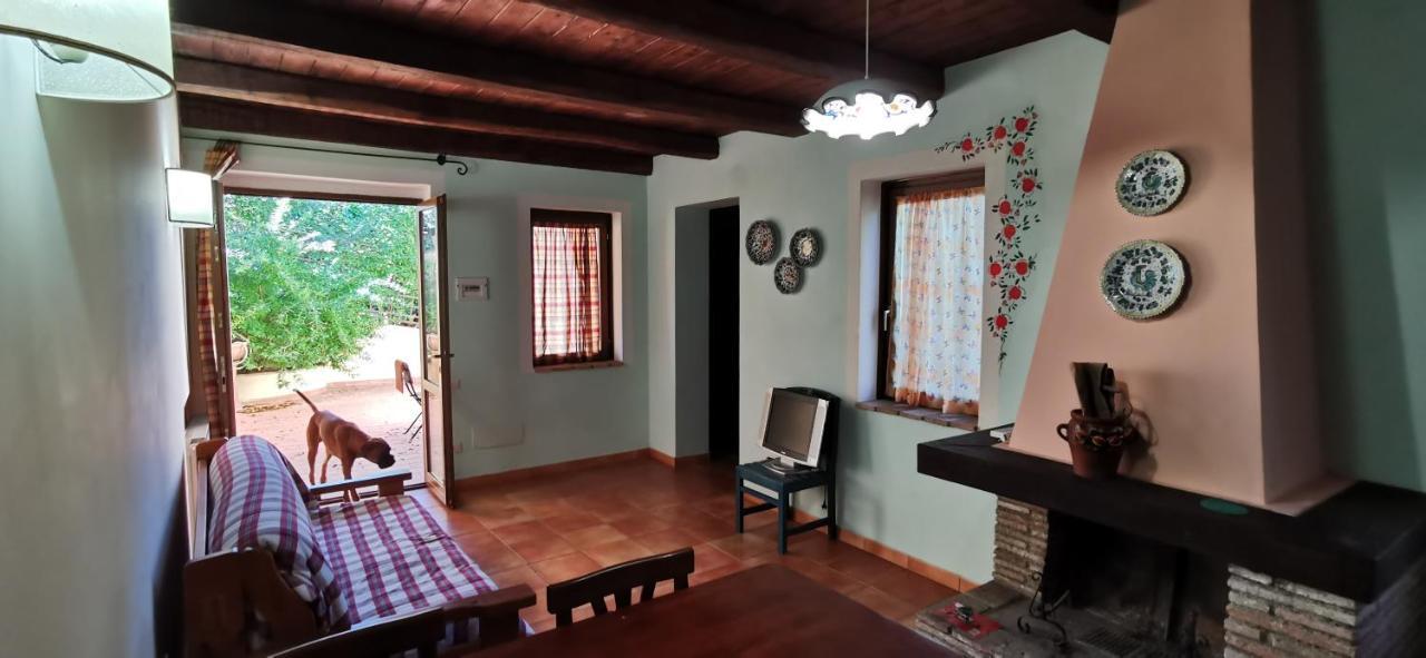 Country House Trevi Umbria Borghetto Vetuliae Santa Maria in Valle Екстериор снимка